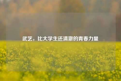 武藝，比大學(xué)生還清澈的青春力量