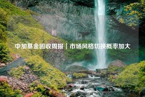 中加基金固收周報︱市場風(fēng)格切換概率加大