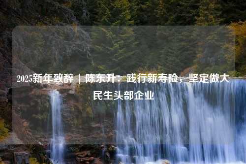 2025新年致辭 | 陳東升：踐行新壽險(xiǎn)，堅(jiān)定做大民生頭部企業(yè)