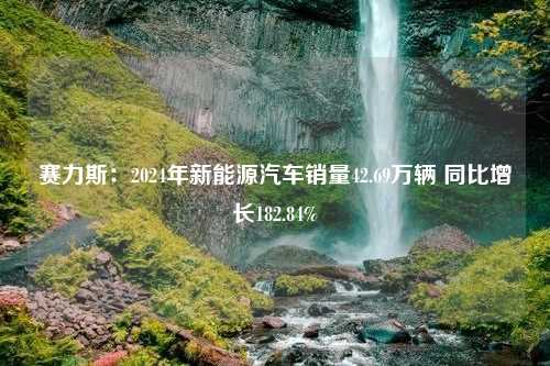 賽力斯：2024年新能源汽車銷量42.69萬輛 同比增長182.84%