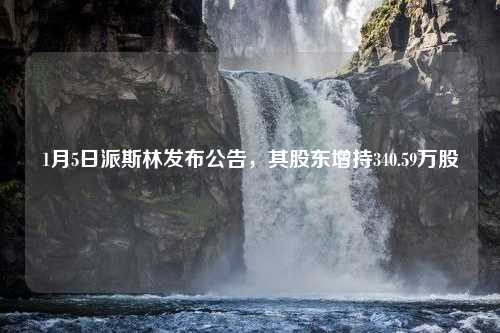 1月5日派斯林發(fā)布公告，其股東增持340.59萬股