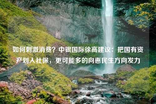 如何刺激消費(fèi)？中銀國際徐高建議：把國有資產(chǎn)劃入社保，更可能多的向惠民生方向發(fā)力