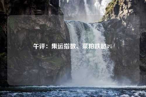 午評：集運指數(shù)、菜粕跌超3%