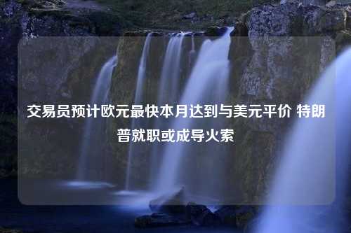 交易員預(yù)計歐元最快本月達到與美元平價 特朗普就職或成導(dǎo)火索