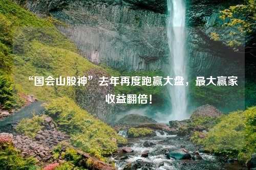 “國會山股神”去年再度跑贏大盤，最大贏家收益翻倍！