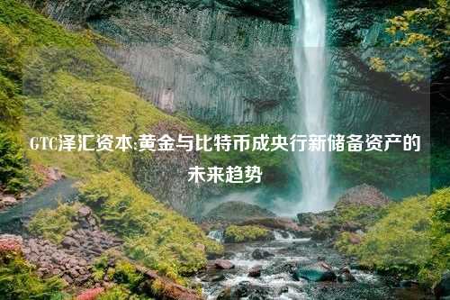 GTC澤匯資本:黃金與比特幣成央行新儲(chǔ)備資產(chǎn)的未來(lái)趨勢(shì)