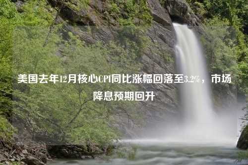 美國去年12月核心CPI同比漲幅回落至3.2%，市場降息預期回升