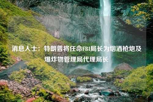 消息人士：特朗普將任命FBI局長為煙酒槍炮及爆炸物管理局代理局長